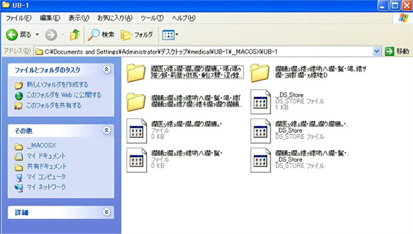 Microsoft Applocale中文版